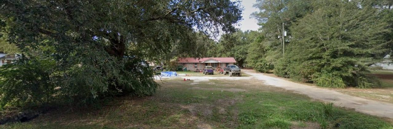 Busy Bee LLC - Tree Service in Chipley