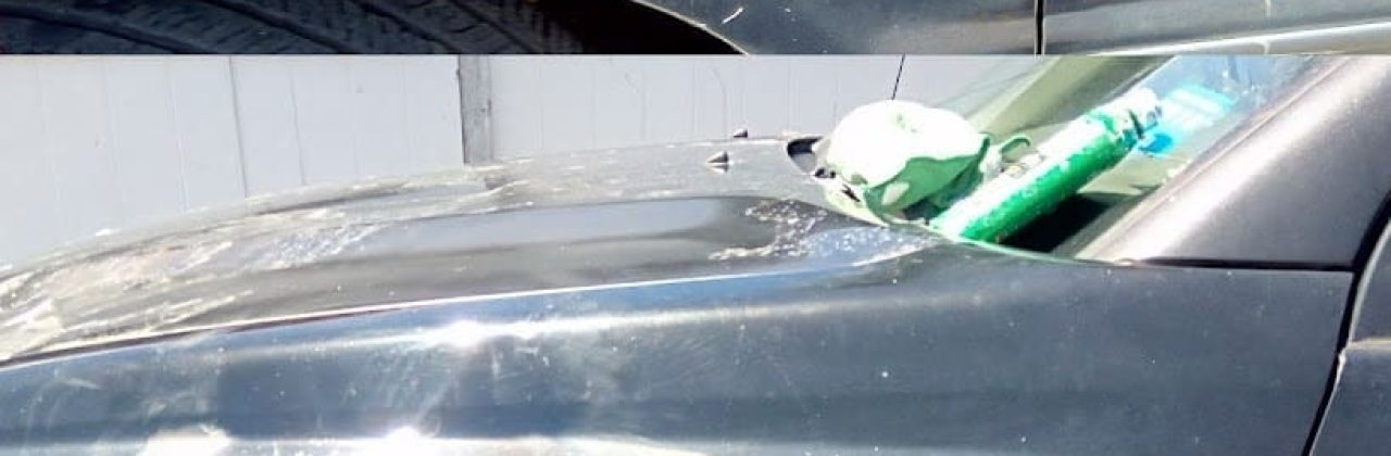 CINDERELLIS Custom Auto Detailing - Car Detailing Service in Gulf Breeze