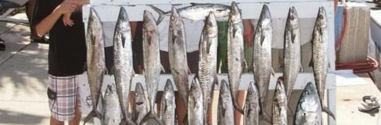 Captain Lee Charters - Fishing Charter in Panama City
