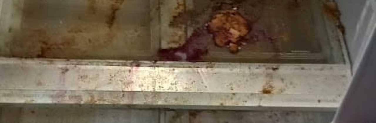 Carnley's cleaner's &Lawn service - House Cleaning Service in Defuniak Springs