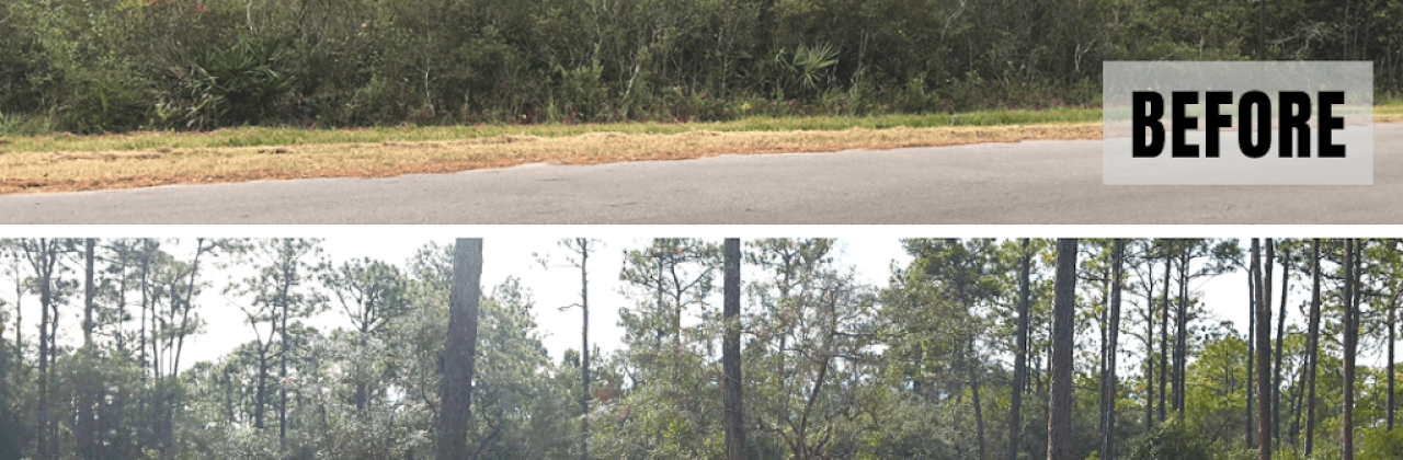 Champion Land Services - Excavating Contractor in Santa Rosa Beach