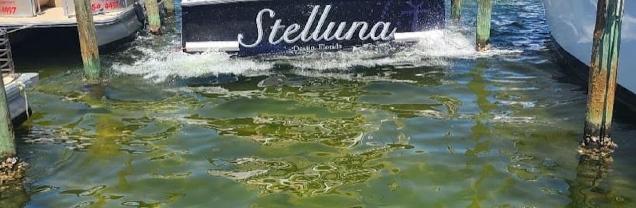 Charter Boat Stelluna - Fishing Charter in Destin