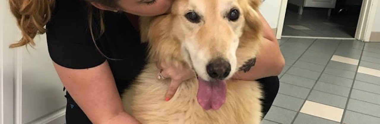 Chemstrand Oaks Veterinary Hospital - Veterinarian in Pensacola