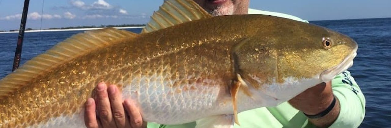 Coastal Life Charters & Adventures - Fishing Charter in Navarre