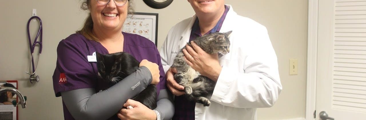 Coastal Sunrise Animal Hospital - Veterinarian in Pensacola