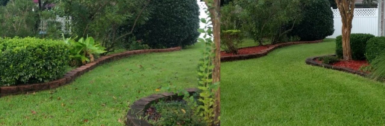 Converting Lawns and More - Lawn Care Service in Holt