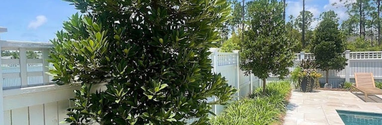 Costa Verde Landscaping - Landscape Designer in Panama City Beach