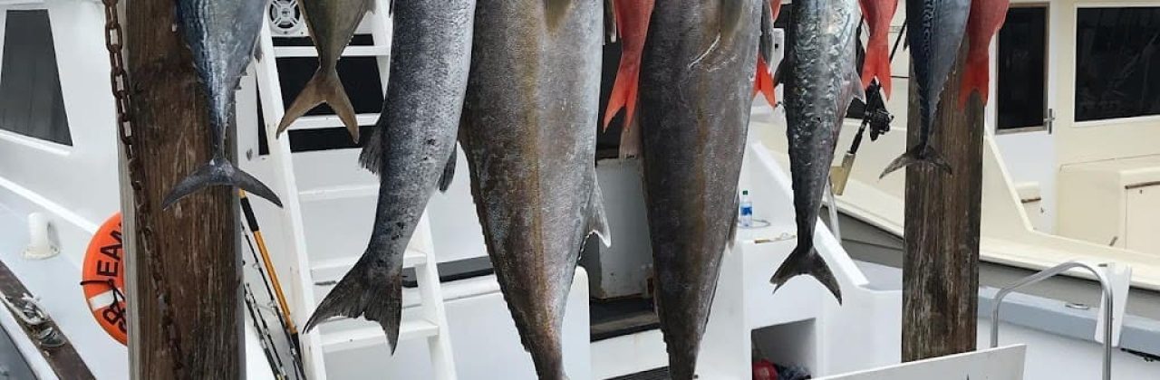 D&B Fishing Charters - Fishing Charter in Destin