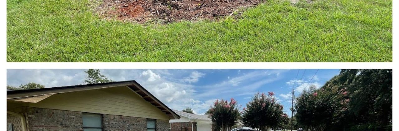 Deadwood Stump Grinding LLC - Tree Service in Navarre