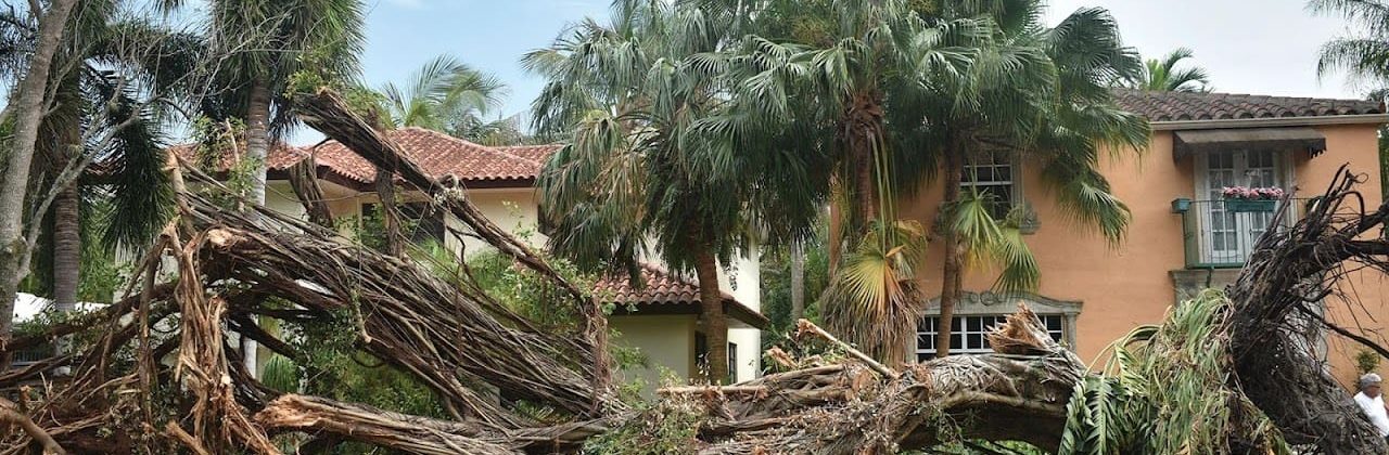 Diane Zimmerman Law - Legal Services in Panama City