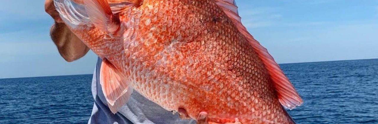 Double W Charters - Fishing Charter in Panama City Beach