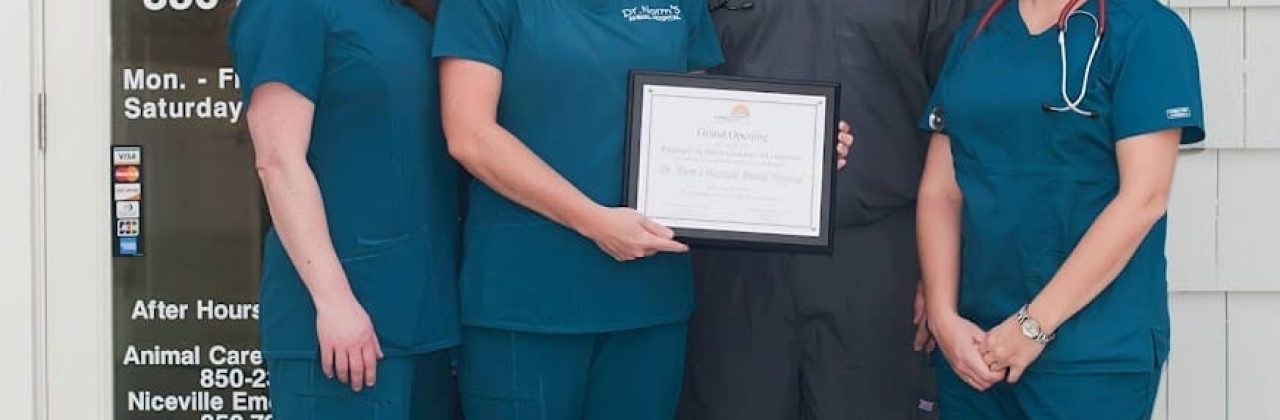 Dr. Norm's Westside Animal Hospital - Veterinarian in Panama City Beach