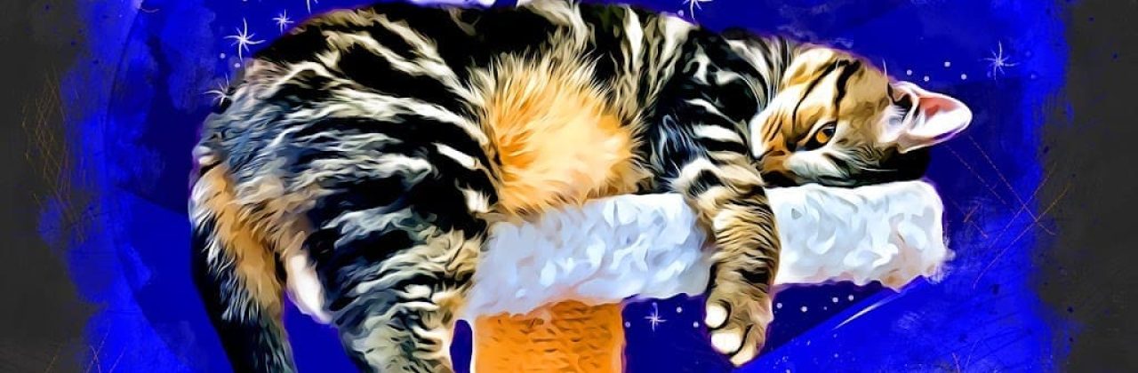 Dragonfly Graphics - Graphic Designer in Fort Walton Beach