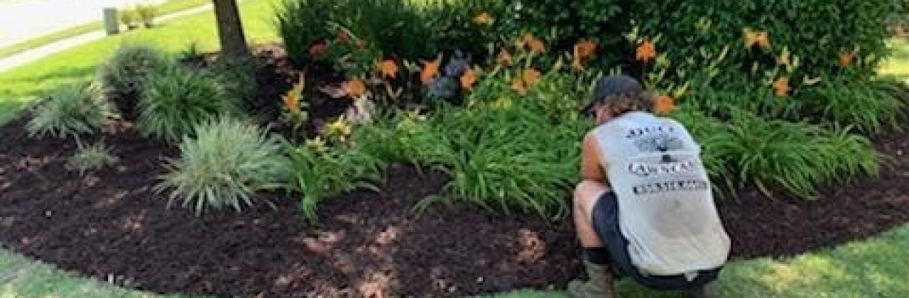 Duce Lawn Care LLC - Landscaper in Pensacola