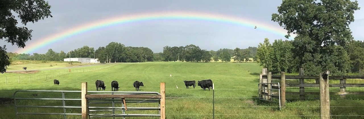 E&C Cattle Ranch - Cattle Farm in Baker