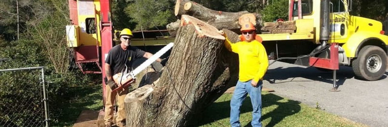 Eager Beaver Professional Tree Care - Tree Service in Pensacola