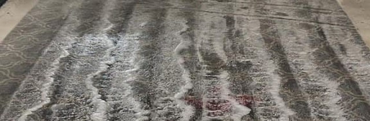 Elite Services Quality Clean - Carpet Cleaning Service in Pensacola