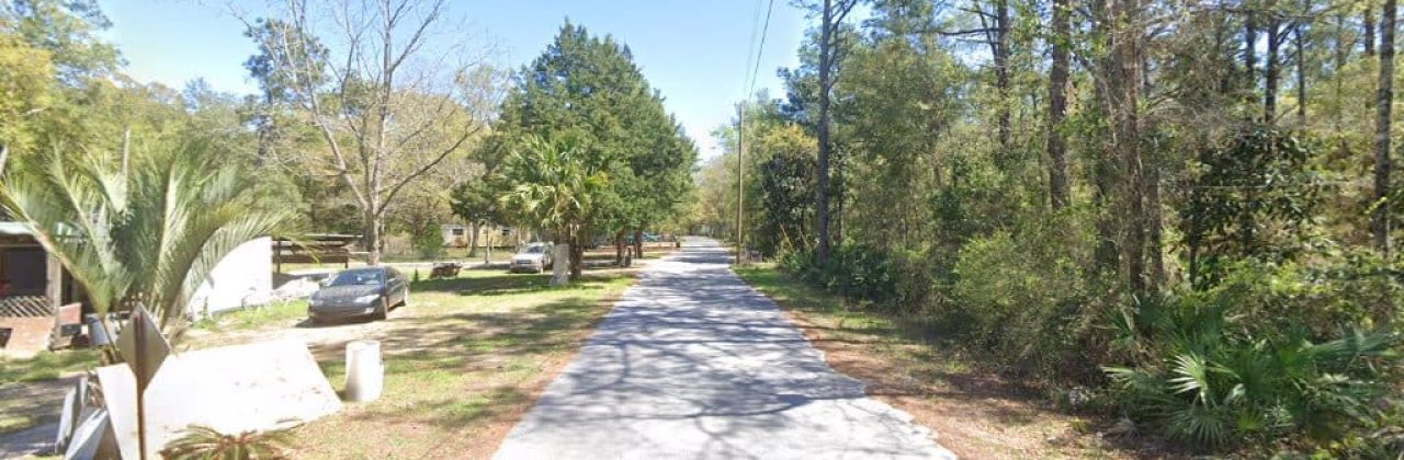 Elite Tree Pros - Tree Service in Freeport