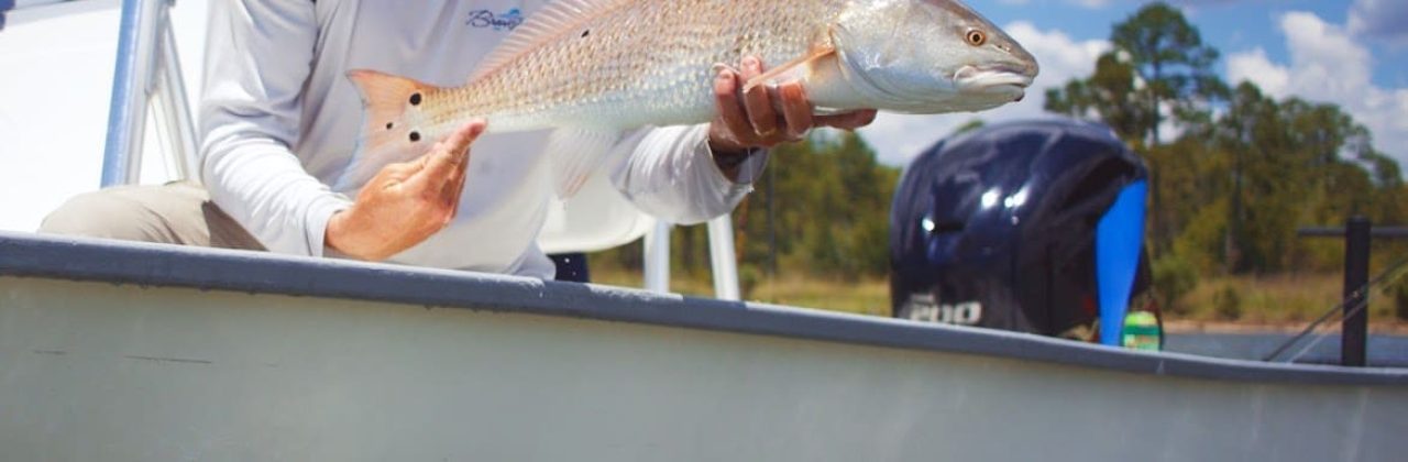 Emerald Coast Outfitters - Fishing Charter in Destin