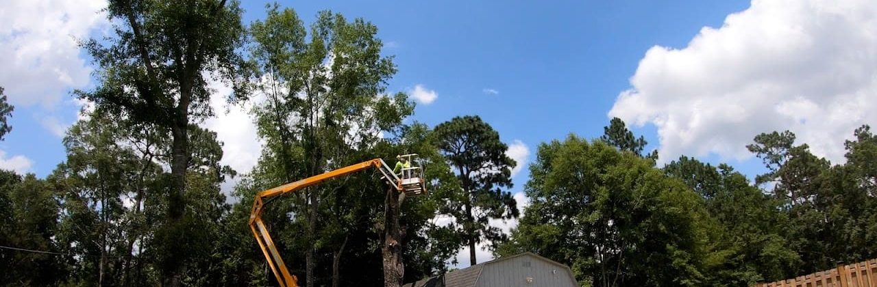Emerald Coast Tree Services LLC - Tree Service in Milton