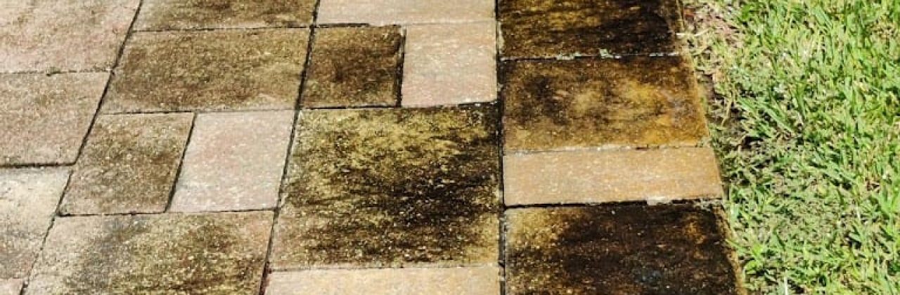 Emerald wave 360 - Pressure Washing Service in Destin