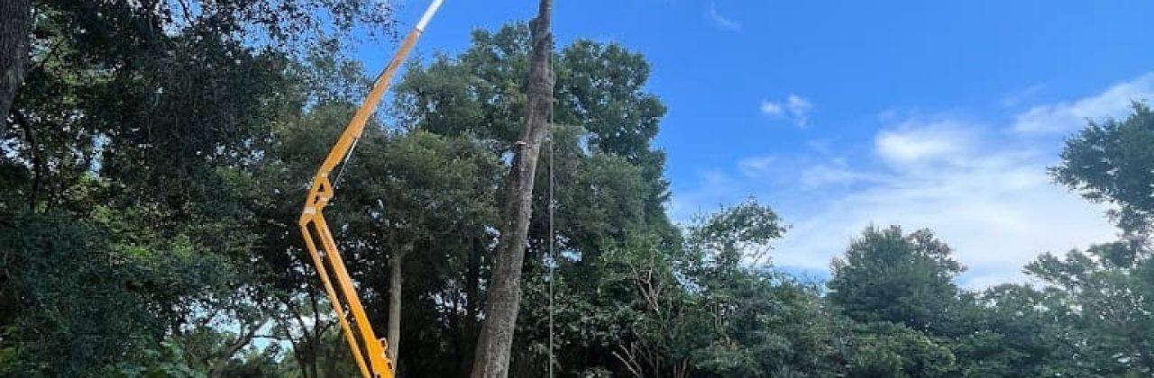 Evergreen Tree Service - Tree Service in Pensacola