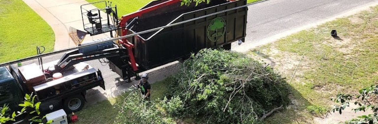 Family First Tree Care - Tree Service in Freeport