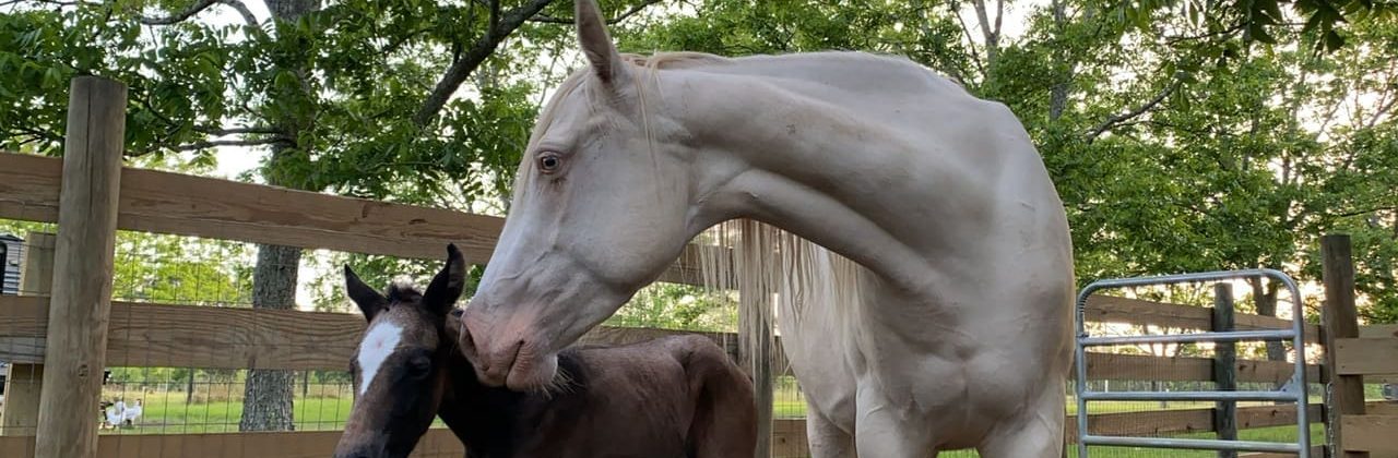 Family Orchards Farm - Event Venue in Molino