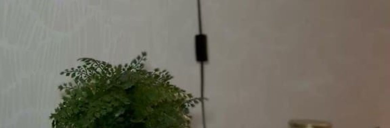 GLOW HEAD SPA LLC - Massage Spa in Panama City