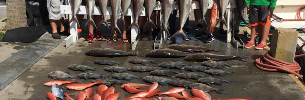 Great Escape Charters - Fishing Charter in Panama City