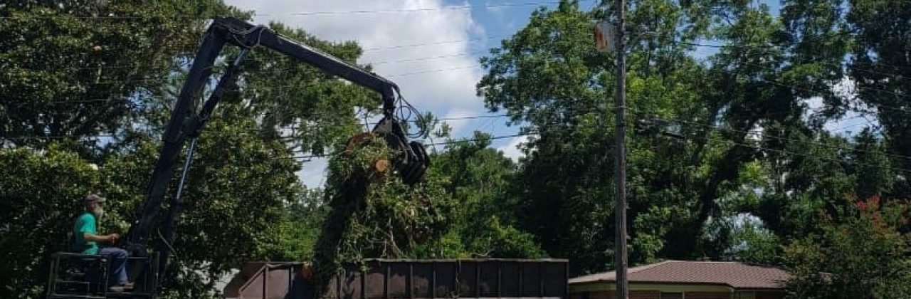 Greenwood Tree LLC - Tree Service in Pensacola