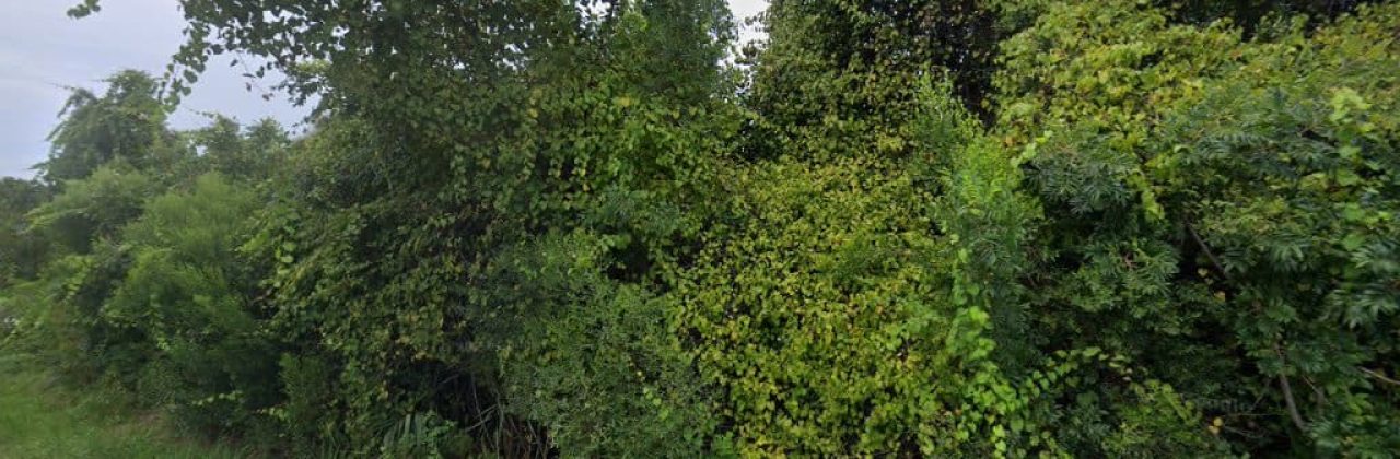 Gulf Coast Lawn Service - Lawn Care Service in Panama City Beach