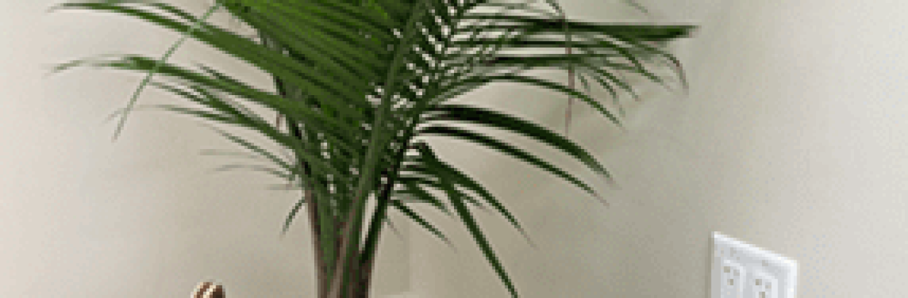 Gulf Coast NeuroSpa - Psychiatrist in Pensacola