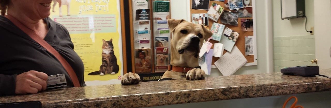 Gull Point Animal Hospital - Animal Hospital in Pensacola