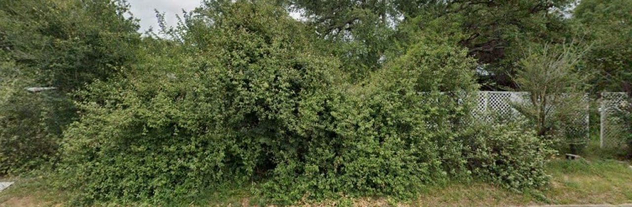 HomeCare Chiropractic - Chiropractor in Milton