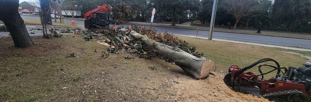 JW Palm Tree Services LLC - Tree Service in Pensacola