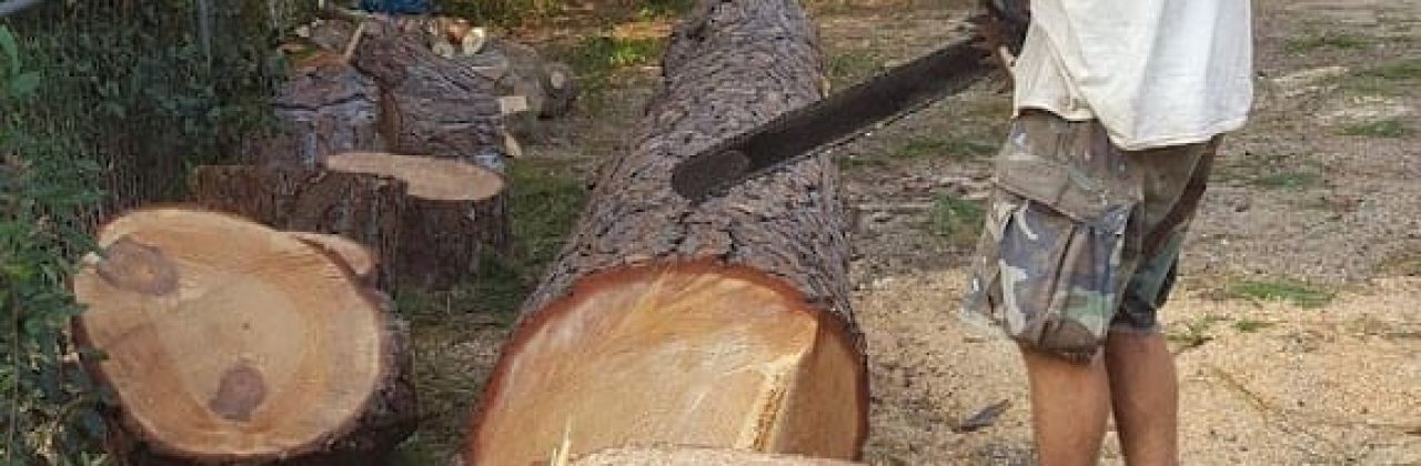 Jeff Watts Providing Tree Service - Tree Service in Crestview