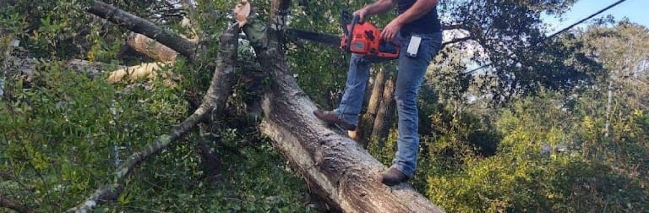 Josey Brills Lawn Care - Lawn Care Service in Pensacola