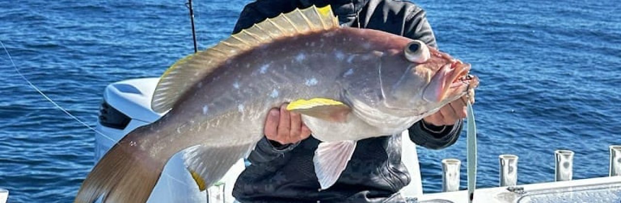 Just-In-Time Sportfishing Charters - Fishing Charter in Destin