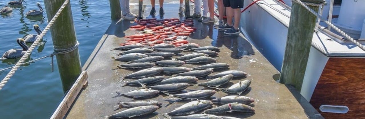 Kelley Girl Charters - Fishing Charter in Panama City