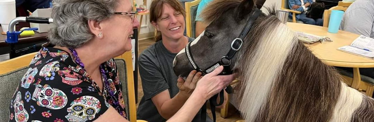 Kindred Spirits Therapy Minis - Volunteer Organization in Baker