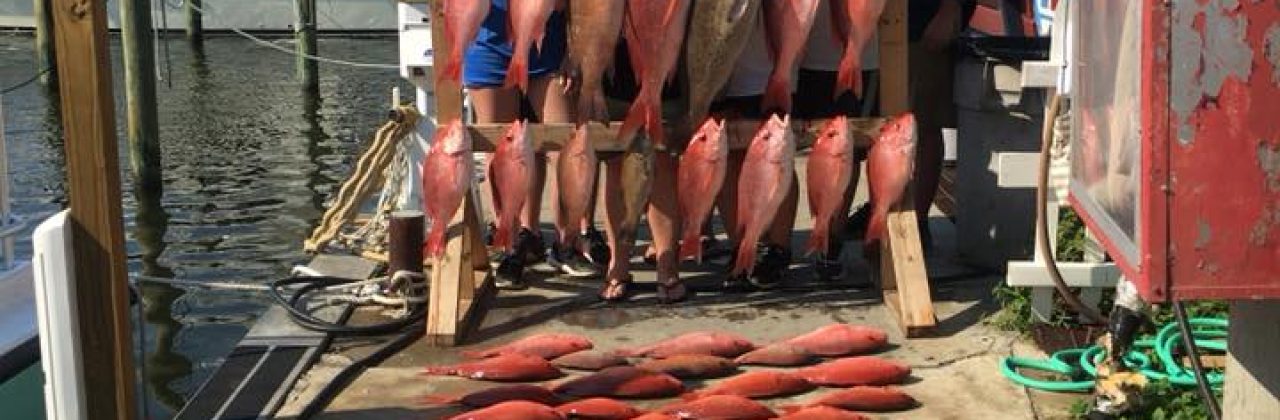 Lady K Charters - Fishing Charter in Panama City Beach