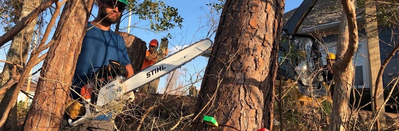 Let's Talk Tree Care