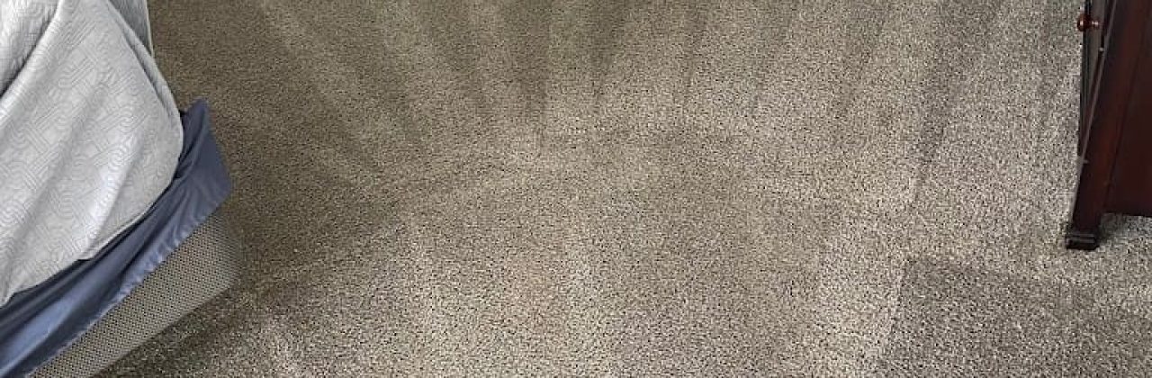 Lions cleaning pcb - House Cleaning Service in Panama City Beach