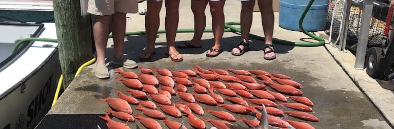 Long Shot Charters-Charter Boat Fishing-Panama City Beach Florida - Fishing Charter in Panama City Beach