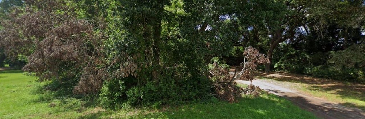 Matt's Mom's Mustard - Gourmet Grocery Store in Pensacola