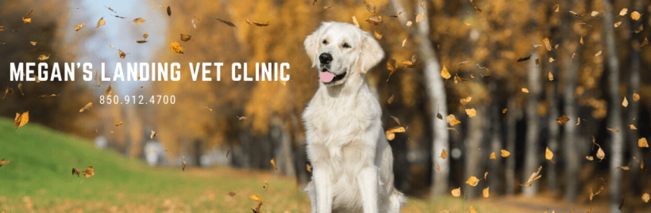 Megan's Landing Veterinary Clinic - Veterinarian in Pensacola
