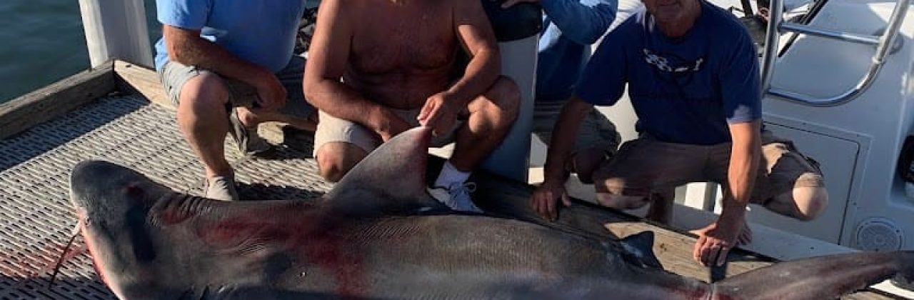 Miller Fishing Charters - Fishing Charter in Pensacola