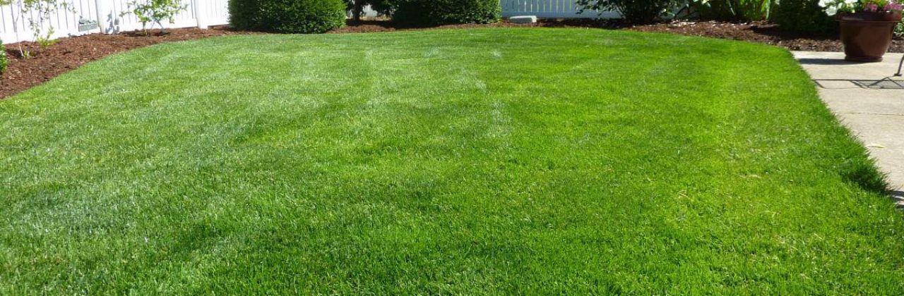Mow & More Lawn Pros - Lawn Care Service in Gulf Breeze