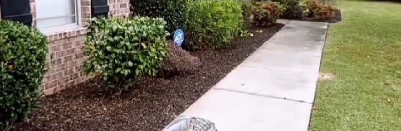 Mr Carlo Lawn Care Service LLC - Lawn Care Service in Pensacola